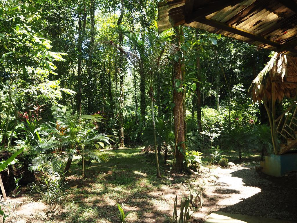 Se Ua Bed and breakfast Manzanillo (Limon)