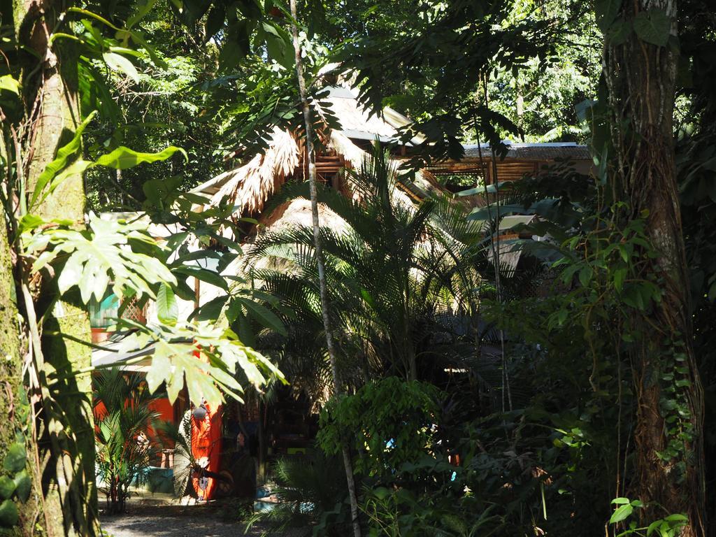 Bed and breakfast Se Ua Manzanillo (Limon)